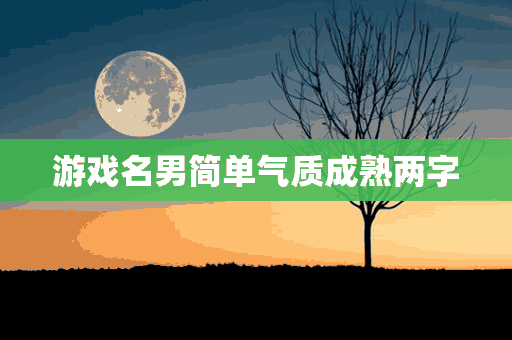 游戏名男简单气质成熟两字(游戏名男生简单气质2字)